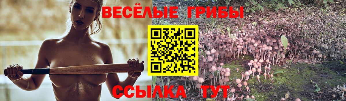 Гашиш Геленджик